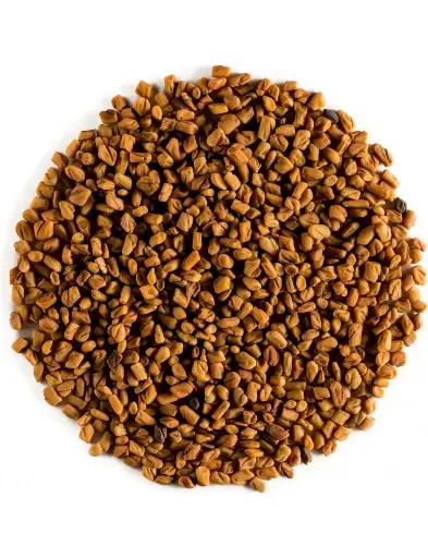 Graines de fenugrec /10g 