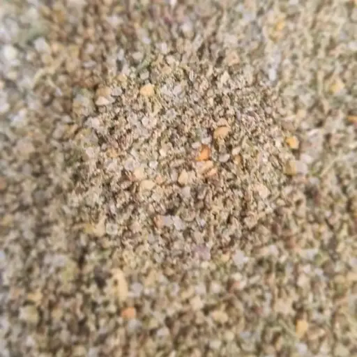 Sel de Céleri /10g