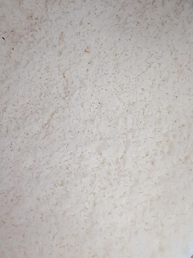 Coco râpée bio en vrac/20g