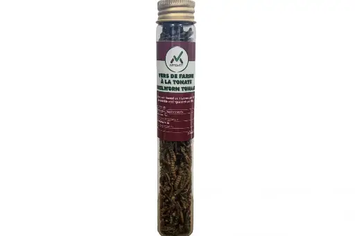 Insectes comestibles : vers de farine à la tomate (-20 %)