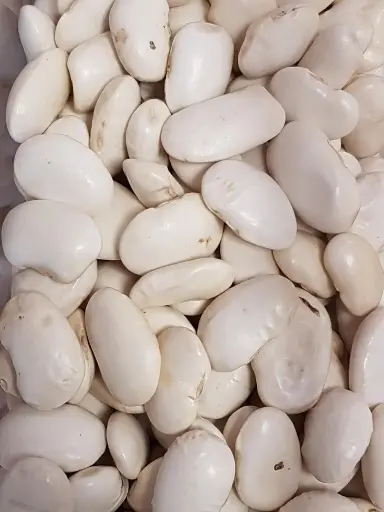 Haricots blancs géants bio /100 g