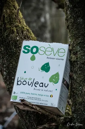 Sève de bouleau (sur commande)