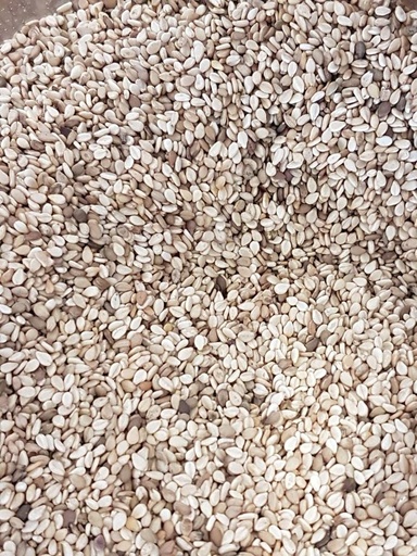 Graines de sésame blanc bio /50g